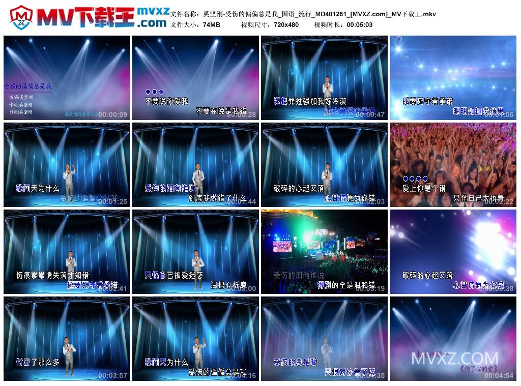 奚坚刚-受伤的偏偏总是我_国语_流行_MD401281